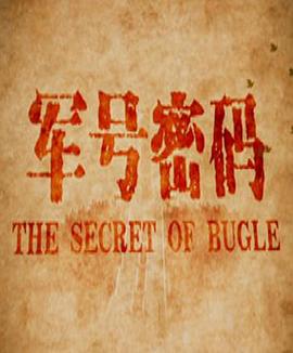 《西雅图寻爱记》电影高清完整版