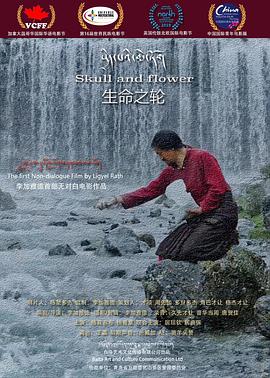 《别动！自己人》电视剧高清全集