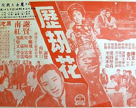 《赌你也会做》电视剧高清全集