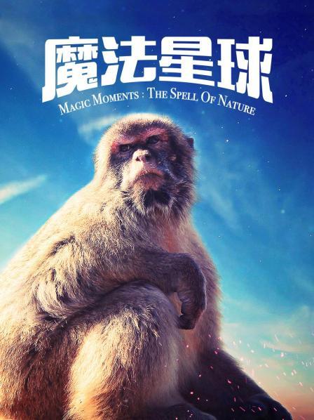 《无主之地2001》电影高清完整版