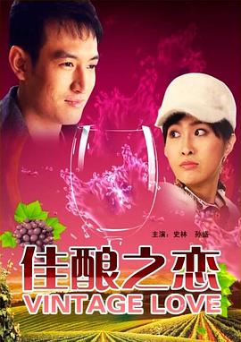 《定风波2025》电视剧高清全集