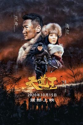 《泰坦尼克淹没之迷》电影高清完整版