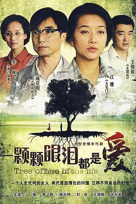 《傲骨之战第四季》电视剧高清全集