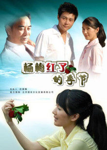 《水兵罪案调查处第二十季》电视剧高清全集