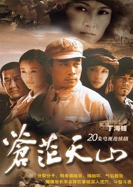 《是非局》电视剧高清全集