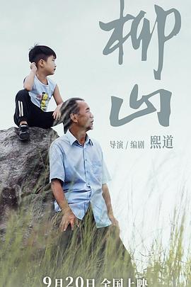 《谜探休格》电视剧高清全集