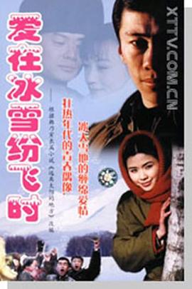《焚烧年月粤语》电视剧高清全集