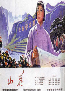 《风云粤语》电视剧高清全集