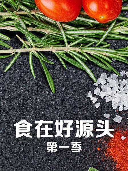 《我国飞侠》电影高清完整版
