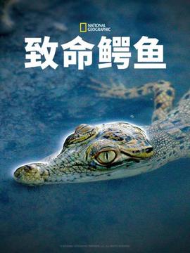 《与敌同眠【影视说明】》电影高清完整版