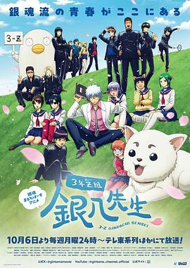 《爱填满空白第二季》电视剧高清全集