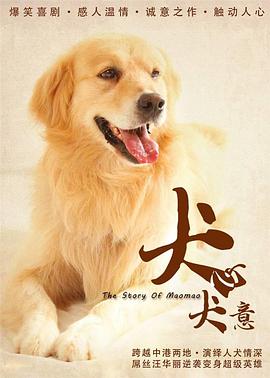 《「得到我」～追忆篇～》电视剧高清全集