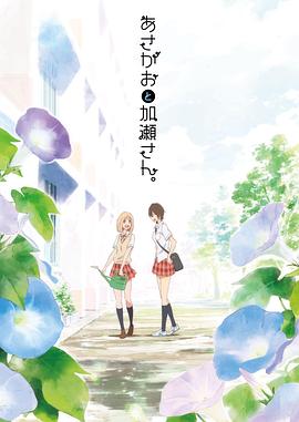 《芝加哥烈焰第十二季》电视剧高清全集