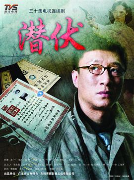《与卿行》电视剧高清全集