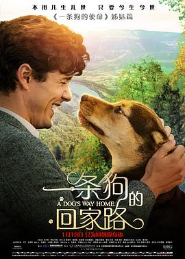 《脱单宝典》电影高清完整版