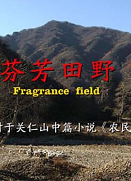 《太阳星斗粤语》电视剧高清全集