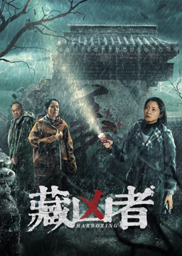 《赤色地毯黑色梦》电视剧高清全集