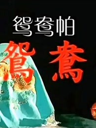 《狗眼看人心》电影高清完整版