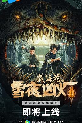 《日子大爆炸第九季》电视剧高清全集