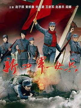 《美丽的隐秘》电视剧高清全集