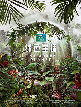 《桥》电影高清完整版