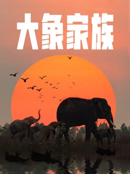 《只要我是17岁的国际》电视剧高清全集