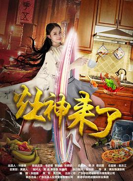 《探长薇拉第十二季》电视剧高清全集