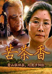 《中华赌侠》电影高清完整版